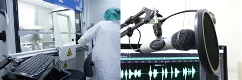 Signal Generator Tutorial 的图像结果