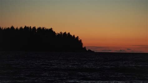 Download wallpaper 2560x1440 sea, trees, silhouettes, twilight, dark ...