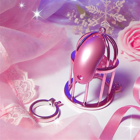 Unlock Feminine Fantasy: The Ultimate Guide to Pink Chastity Cages 💖 ...