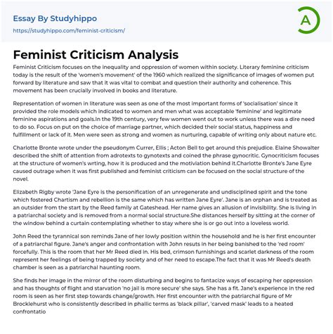 Feminist Criticism Analysis Essay Example | StudyHippo.com