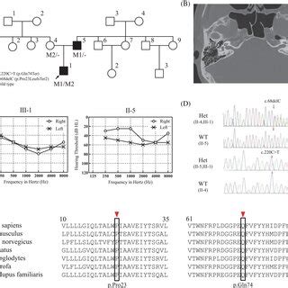 Clinic Ads 2026 March Pedigree and Confirmation Clinic