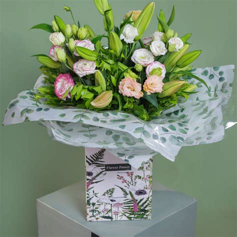 Pastel Lilium – Flower Power India
