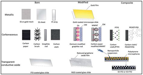 Langmuir–Blodgett Graphene-Based Films for Algal Biophotovoltaic Fuel Cells