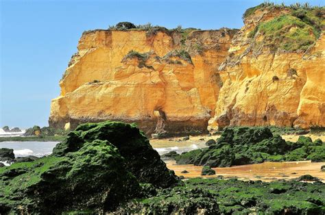 Image result for Java Beach Blue Color