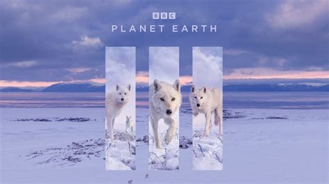 Planet Earth III Episode 6 Extremes - Everything you need to know