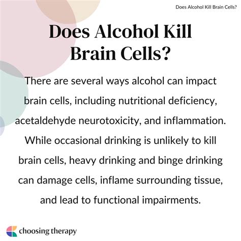 Did You Know Alcohol Doesnt Kill Brain Cells Science Evolved