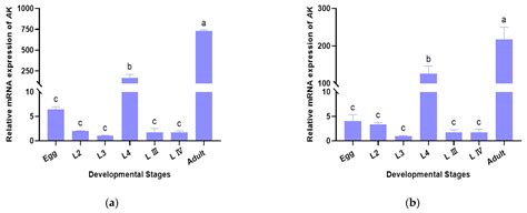 Selection and Validation of Reliable Reference Genes for qRT-PCR ...
