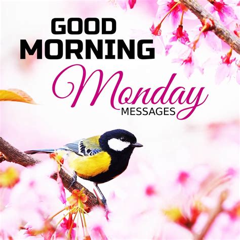 Good Morning Monday Messages, Prayers & Blessings