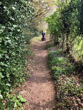 ROOKESBURY PARK CARAVAN AND MOTORHOME CLUB CAMPSITE (Wickham ...