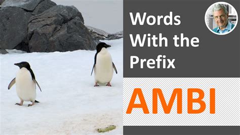 The Meaning of Prefix AMBI With Examples