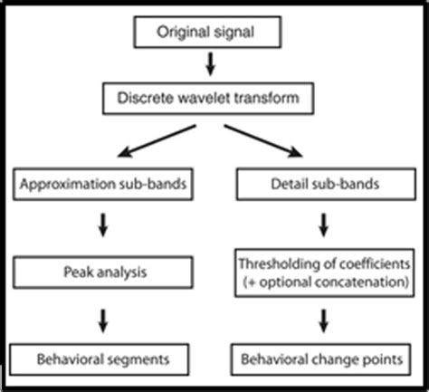 Image result for Discrete Wavelet Transform