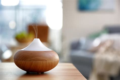 Image result for Clean Essential Oil Diffuser