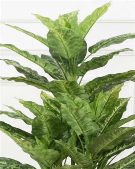 Artificial Dieffenbachia Yellow Plant 130cm – GREENTEK ONLINE