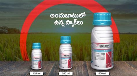 ఇన్సిపియో | Syngenta