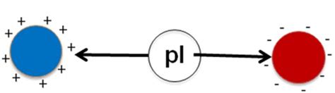 Figure 30.3: Change of charge with respect to the pI.