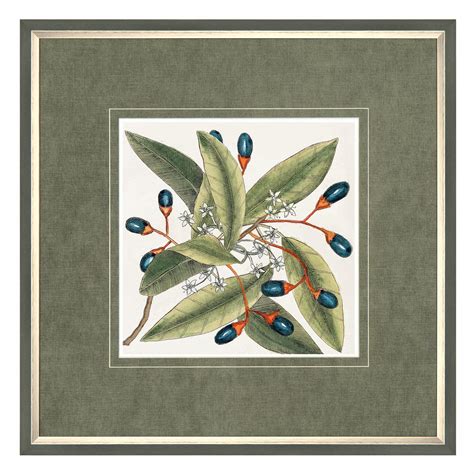 Botanical Style - Original Art from West Country Galleries