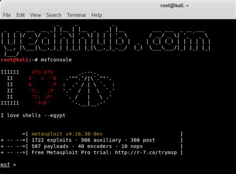 Find Vulnerable Webcams with Shodan [Metasploit Framework] - Yeah Hub