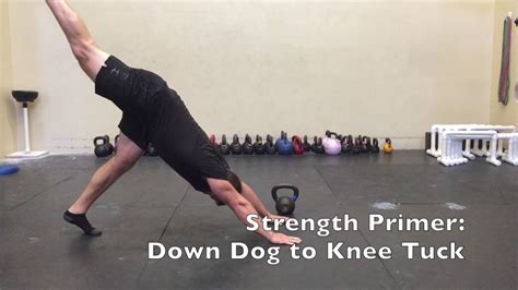 Image result for Reloading Primer Compatibility Chart