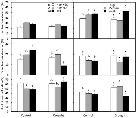 The Importance of Initial Seedling Characteristics in Controlling ...