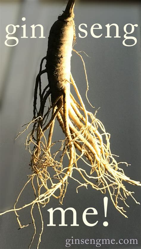 Discover Where Asian Ginseng Grows: Native Countries Revealed