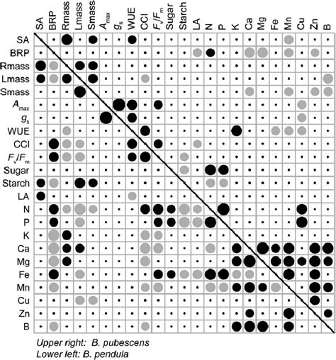Correlation Figure 的图像结果