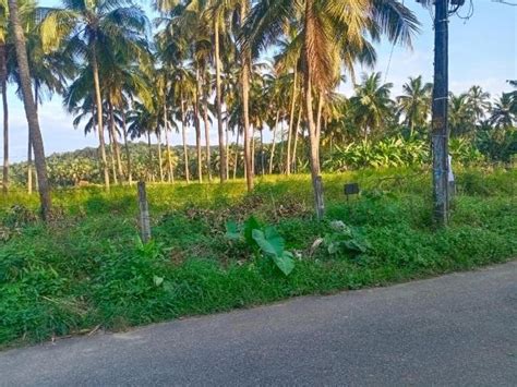 Thrissur - 25 villas in Thrissur - Mitula Homes