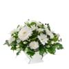 Online Flower Delivery in Australia - Send Flowers to Australia ...