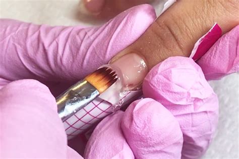 Tutorial Acrigel 的图像结果