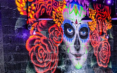 Talkin' Tacos | Best Tacos in Temple Terrace, FL | Tacos near me