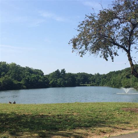 Saddle River County Park (Saddle Brook) - ATUALIZADO 2022 O que saber ...