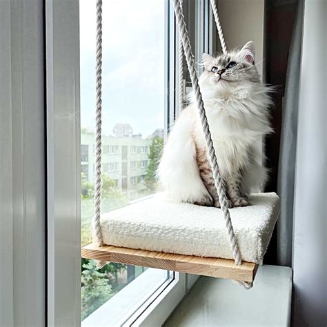 Cat Window Perch, Cat Hammock, Cat Window Bed, Wood Cat Shelves ...