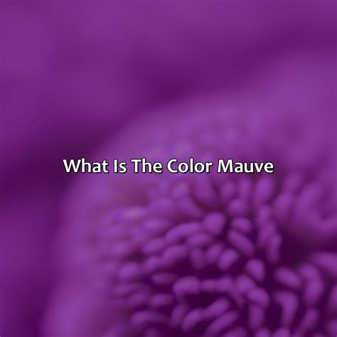 What Is The Color Mauve - colorscombo.com