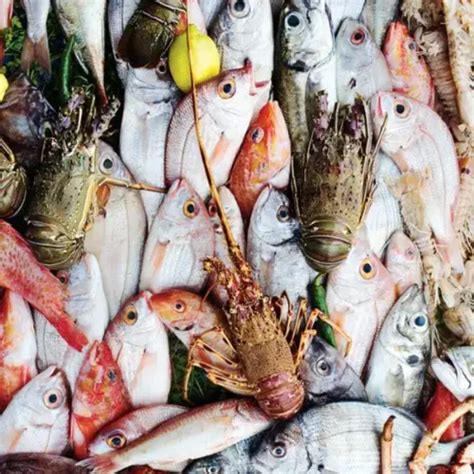 Vlg's Live Fish Mart, HYDERABAD - Order Online