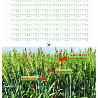 Image result for Supervised Contrastive Learning