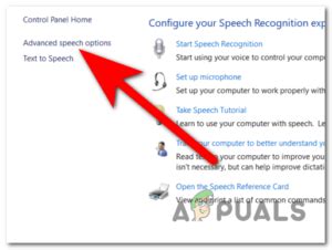 Speech Recognition Module Not Found Error 的图像结果