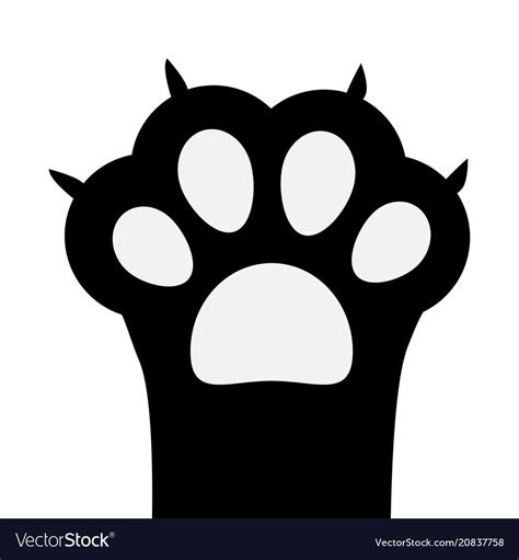cat paw illustration