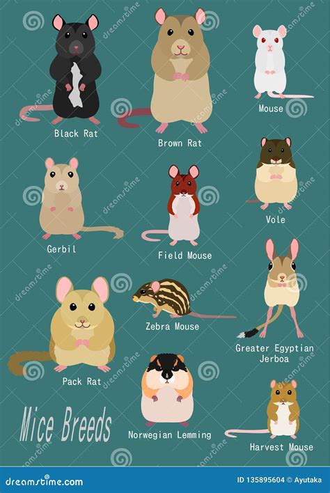 Name Of Mice