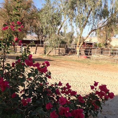 IVEY RANCH EQUESTRIAN CENTER (2026) All You Need to Know BEFORE You Go ...