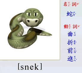 snake是什么意思中文-图库-五毛网