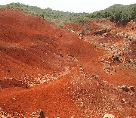 Soil types in India - UPSC PDF Download