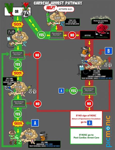 Image result for ACLS For Dummies