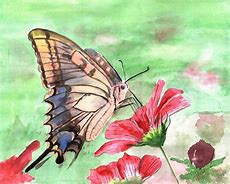 Image result for Watercolor Butterfly Art