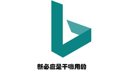 新必应 的图像结果