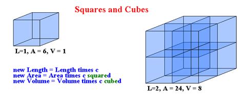 Scale in Math 的图像结果