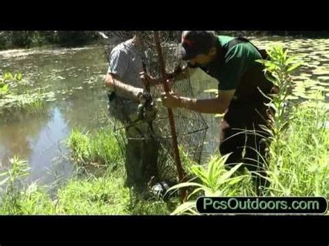 Image result for How to Catch Turtles