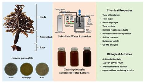 Subcritical Water Extraction of Undaria pinnatifida: Comparative Study ...