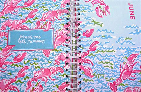 Stay Fabulous: I Chose A Print! {How I Organize My Lilly Agenda ...