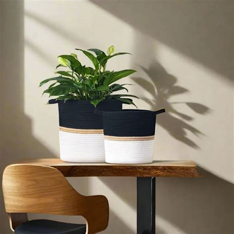 Planters – Ikkasa