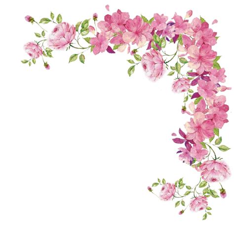 Clip Art Flower Border Designs at Ryder Krichauff blog