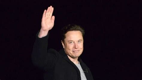 Elon Musk hints his support for right-wing Rabbit Hole. How netizens ...
